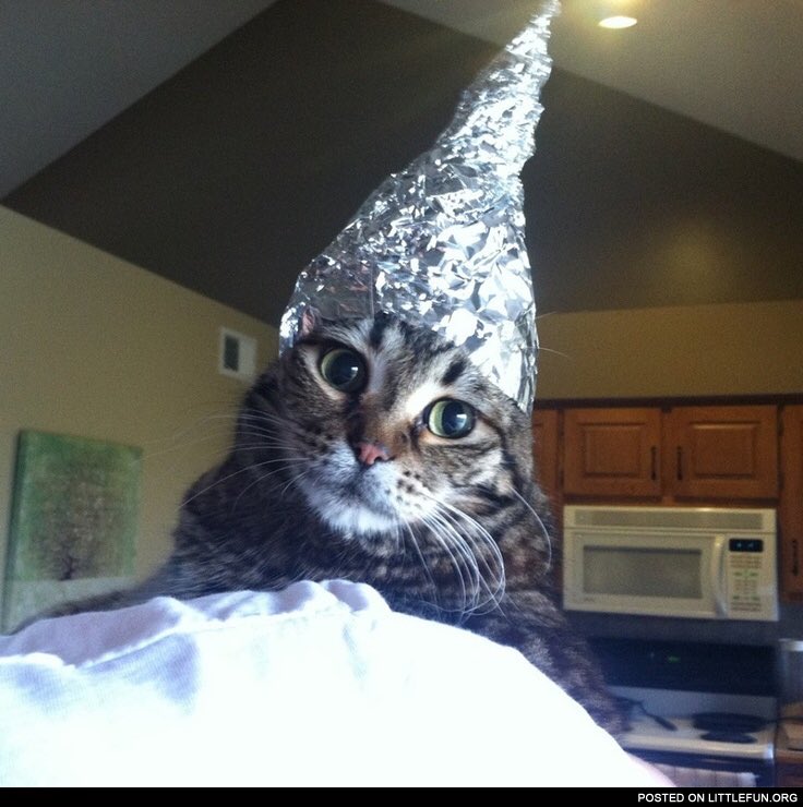 ucantstop_me's tweet photo. @kushkandy95 @Waremtaeuoy @20committee @Lonestarmomcom Wait wut? https://t.co/cLcv390mts
