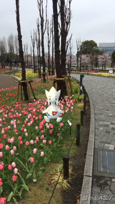 ポケモンgo ナナのみの効果的な使い方は 無理 なぜ使えない