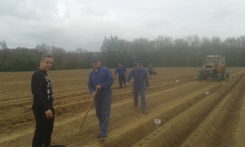 PiboTongeren's tweet photo. Wouter Dieu: "Vakantie of niet:de rassenproef van de aardappelen (#PIBOCampus) steekt er in.En het was nog plezant ook!" #PIBO #Paasvakantie https://t.co/3wAiQcjaAy
