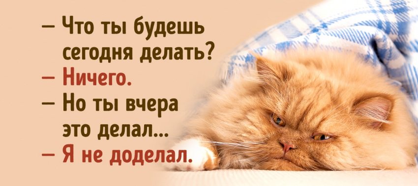 Картинки прикольные утро выходного дня, открыток