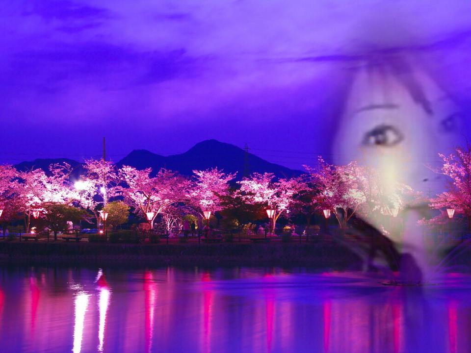ksthm7414280's tweet photo. 夜桜もいいなぁ https://t.co/VMVq5cBchR