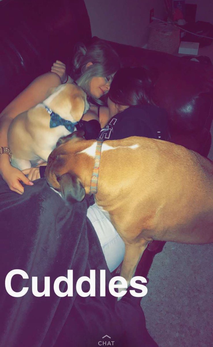 eellamariee's tweet photo. I love @natashaheiny and dogs https://t.co/cfIwXMgelE