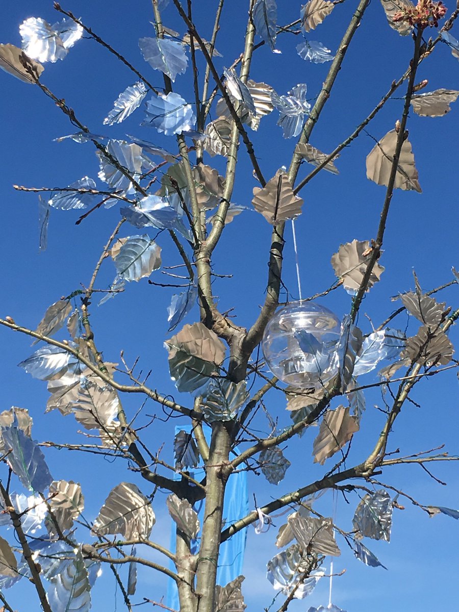 50 Years of Catching Dreams! Special Days for ISAS Artists! <a href="/casadyschoolokc/">Casady School</a> #isas50