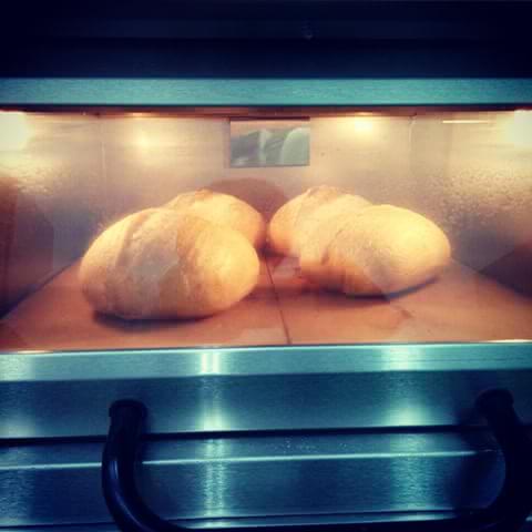 DP_BISTRO's tweet photo. Sourdough | #peekaboo #kitchenPRO looks they are growth up! https://t.co/rIGRu7XQuD