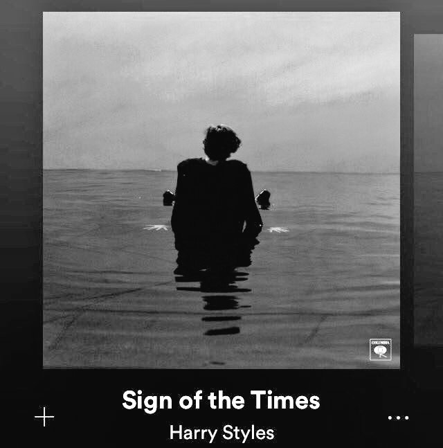 Can we talk about how lucky we are to exist in the same era as harry styles