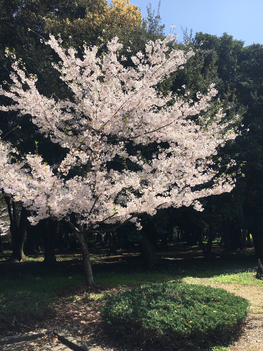 fairy_with_'s tweet photo. 제 주 도 온 기 념 트 친 소

02년생 꾹올순 요정이
갠타잡, 타가수 욕트 x
알티 천천히 잡으러가요❗️(무멘팔x)
인용알티 해주시면 뽀뽀 ❤️ https://t.co/Zeb7vx12qM