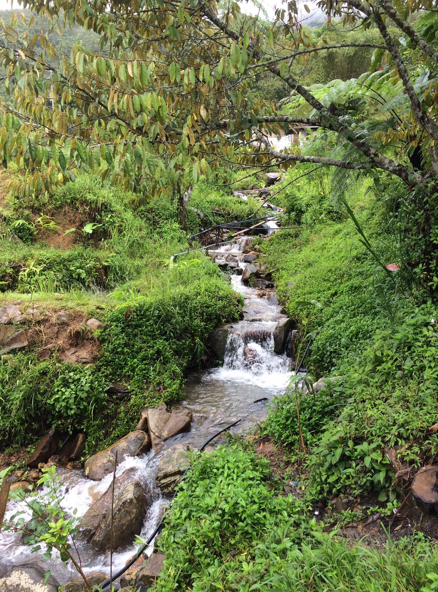 Rxchyana's tweet photo. Kg. Tudan, Tuaran, Sabah. https://t.co/c9GJcjbkZW