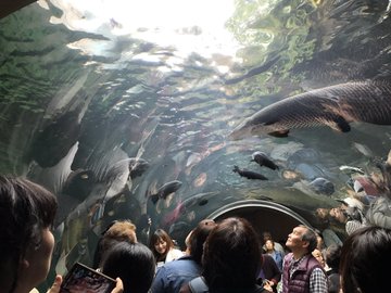 栃木県唯一の水族館 こんな場所にもカピバラが なかがわ水遊園 旅行の準備や計画に 観光パンフレットお取り寄せサービス みんたび