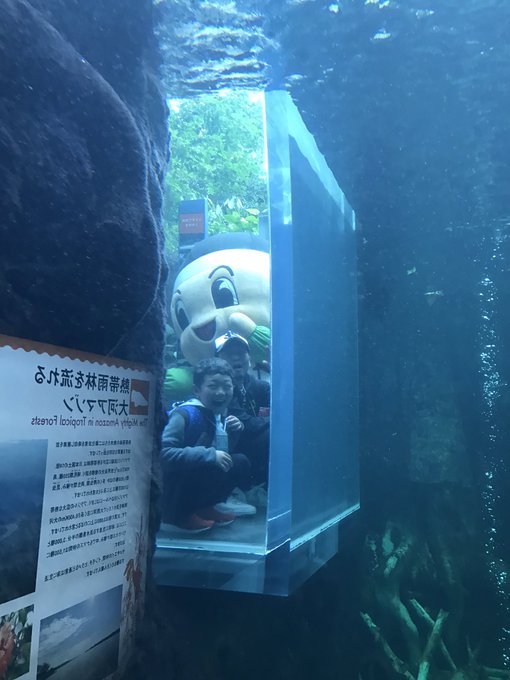 栃木県唯一の水族館 こんな場所にもカピバラが なかがわ水遊園 旅行の準備や計画に 観光パンフレットお取り寄せサービス みんたび