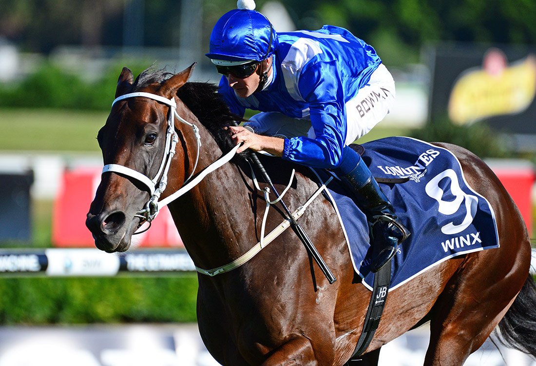 mmsnippets's tweet photo. #Winx
17 in a row
12 Group Ones
$12.8 million
Winx well and truly crowned in the Queen Elizabeth!
📷 - @LisaGrimm9
#MMGraduate
#Champion https://t.co/0qCRNFyBne