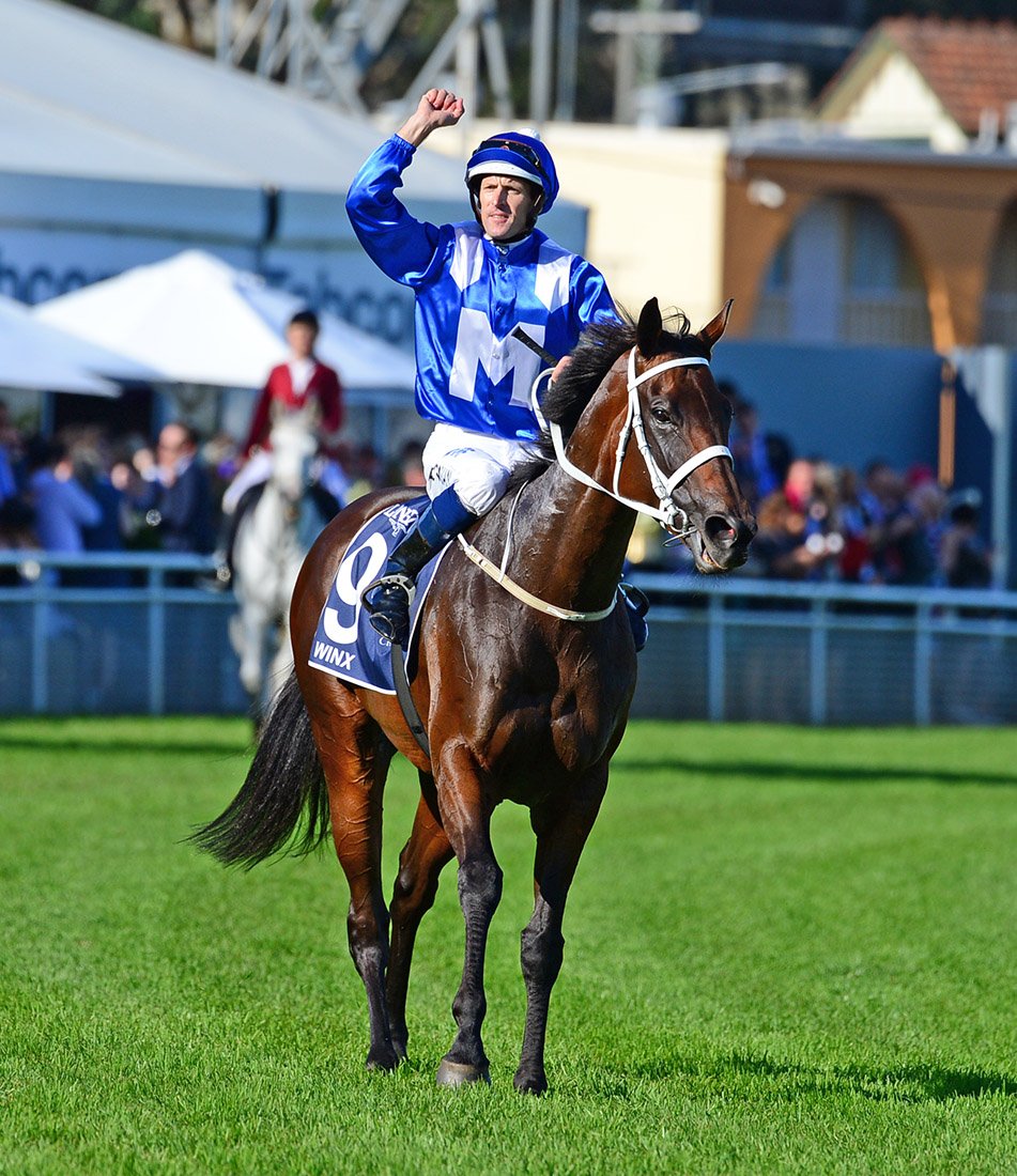 mmsnippets's tweet photo. #Winx
17 in a row
12 Group Ones
$12.8 million
Winx well and truly crowned in the Queen Elizabeth!
📷 - @LisaGrimm9
#MMGraduate
#Champion https://t.co/0qCRNFyBne