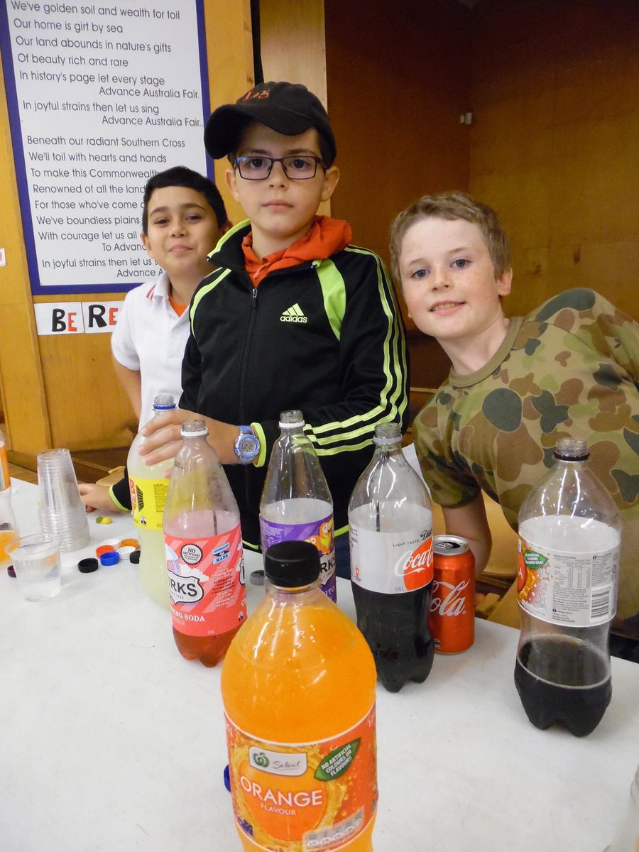 Stage 3 Autumn Fair Day fundraiser 🍁🍂 #fundraising #studentledactivities