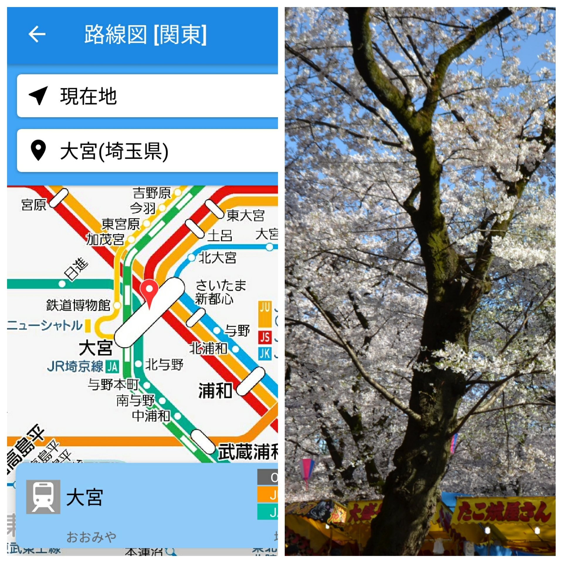 טוויטר Wtm鉄道 旅行ニュース アプリ 乗換路線図 公式 בטוויטר 大宮公園の桜は今が満開 週末はお花見に出かけてみませんか Jr大宮駅徒歩15分 東武北大宮駅 大宮公園駅徒歩10分 旅する路線図 埼玉県 さいたま市 大宮公園 桜 無料の 路線図 アプリとい