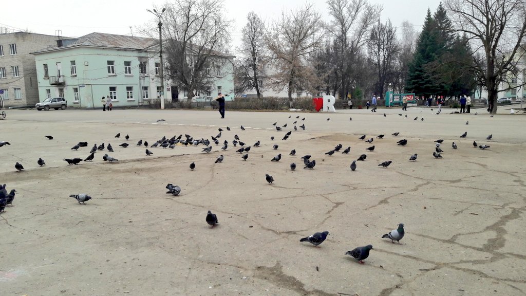 #ЯСНОгорск!