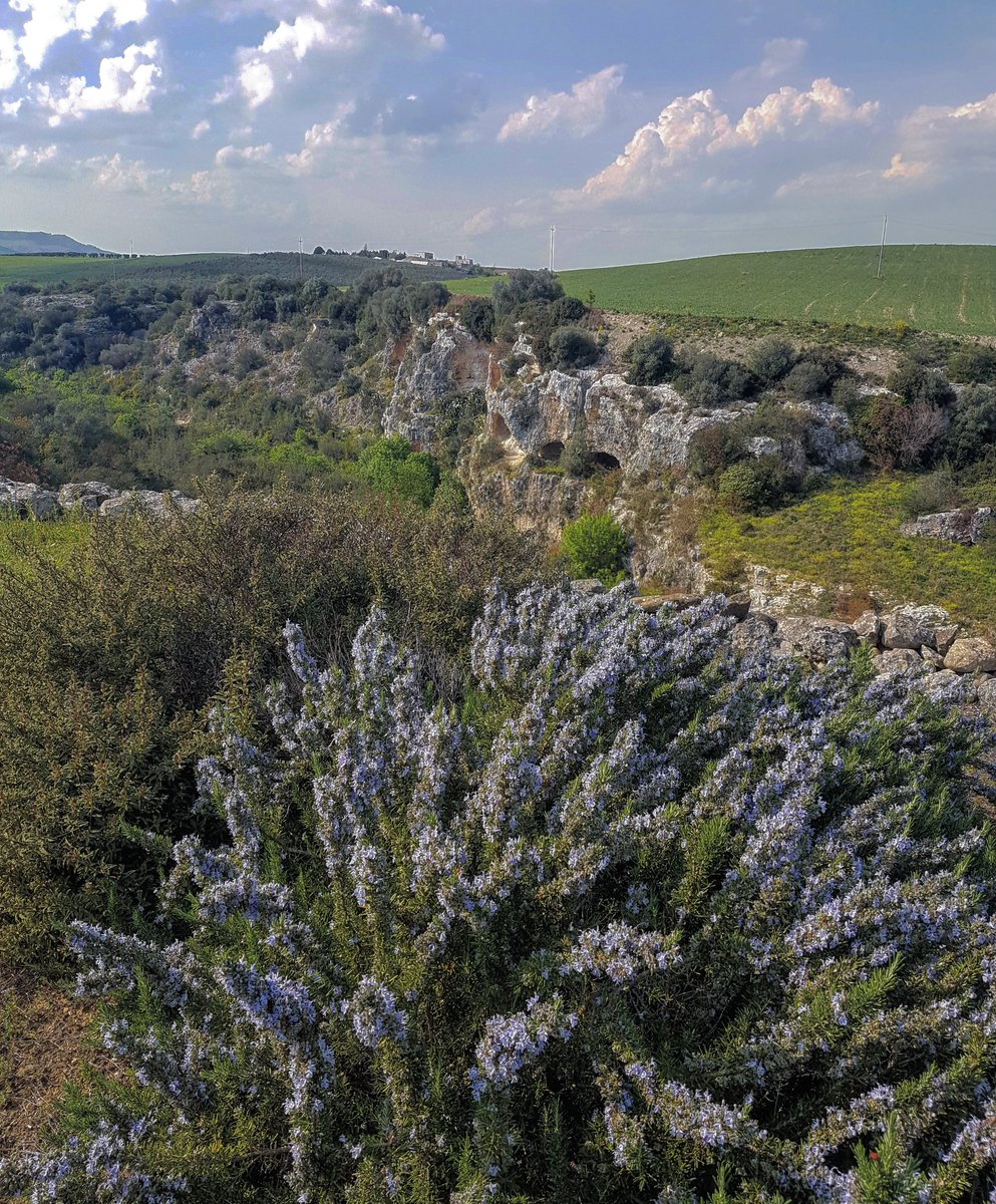 #Basilicata #primavera #murgia #colori #travelblogger #Matera @TravelToMatera @materainside @visitmatera @VisitBasilicata