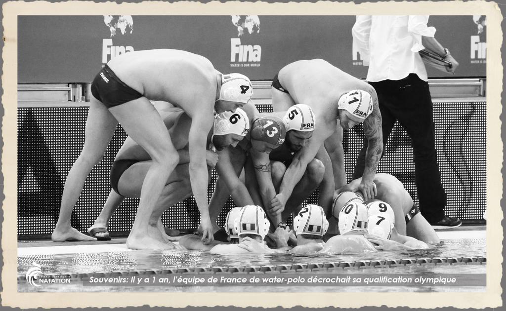 FFNatation's tweet photo. #Souvenirs L'année dernière les Bleus décrochaient leur ticket pour les #JO de #Rio2016 #TeamFrance https://t.co/rhlQjco2ZT