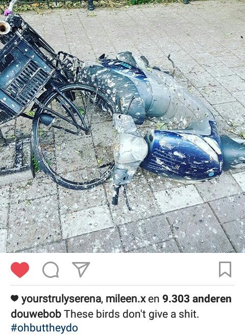 DouweFans's tweet photo. https://t.co/8gyB48jAFv