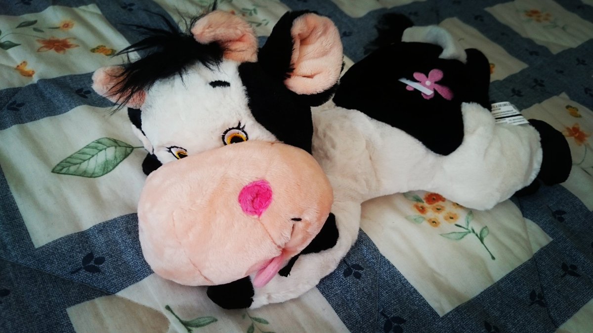 elbauldeemily's tweet photo. Disfrutando del finde!!😀🐮
#vacatermica #peluchestermicos #termico #vaca #regalo #bebes #nacimiento #regalosoriginales https://t.co/hRJojFLctL
