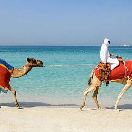 Não quebre estas 7 regras de praia no #Dubai

bit.ly/2oH0TSC