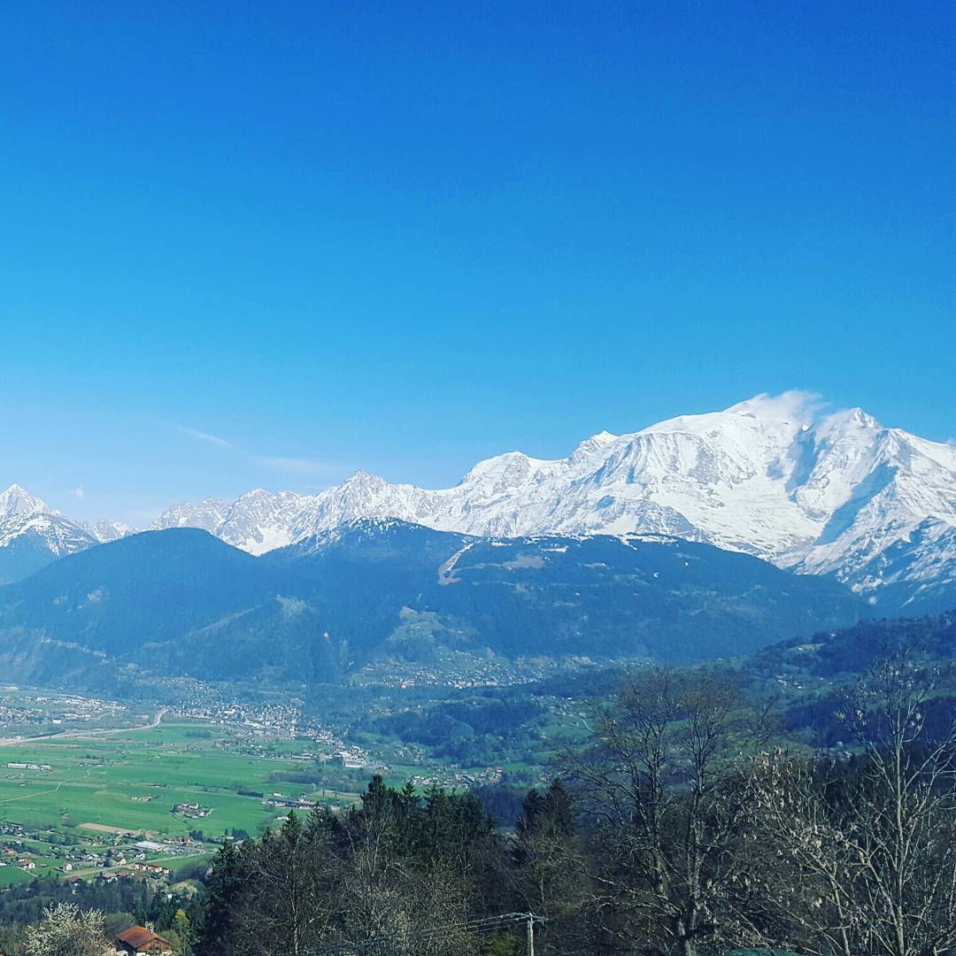 Judith Bloem tweet media