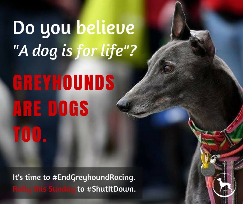 wendybirdxs's tweet photo. Tomorrow, 10am - Queens Park, Brisbane CBD! https://t.co/FyoOIme3wB