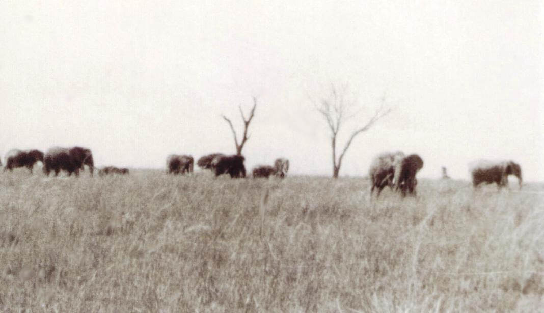 traveltrib's tweet photo. Chapter 17 of former @MSNBC producer @greggcockrell's book #DraftDodger is available for free at https://t.co/bDW7kYPIFp #70s #1970s #msnbc https://t.co/EmbI2Nd8AC