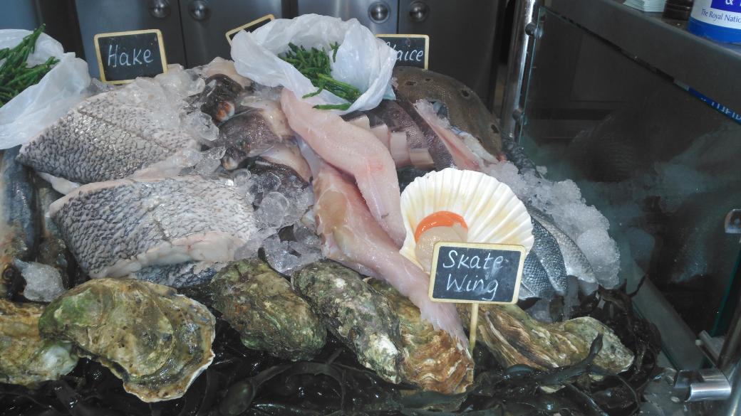 TheCodsScallops's tweet photo. We have such beautiful delights in store for you all today at our Wollaton branch :) #bramcotelane #wollaton #fish https://t.co/FS9Vu9kyGo