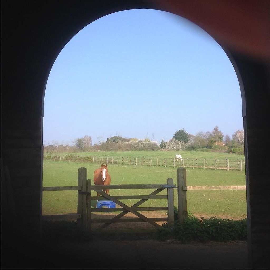 Exoticgardenco's tweet photo. Start of a another day #hallfarmlivery,#aldeburgh,#suffolk,#woodbridge,#ipswichhub,#thorpness,#orford.#saxmundham. https://t.co/zYbqG8PQDk https://t.co/b298Rrg4K1