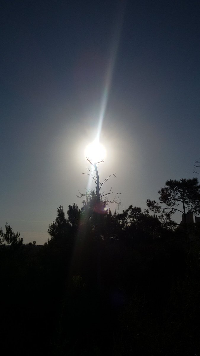 elkequedejoe's tweet photo. #knowledge #suns #love #naturelovers #nature #sinfliltro #photographer https://t.co/eM9OfHYDv8