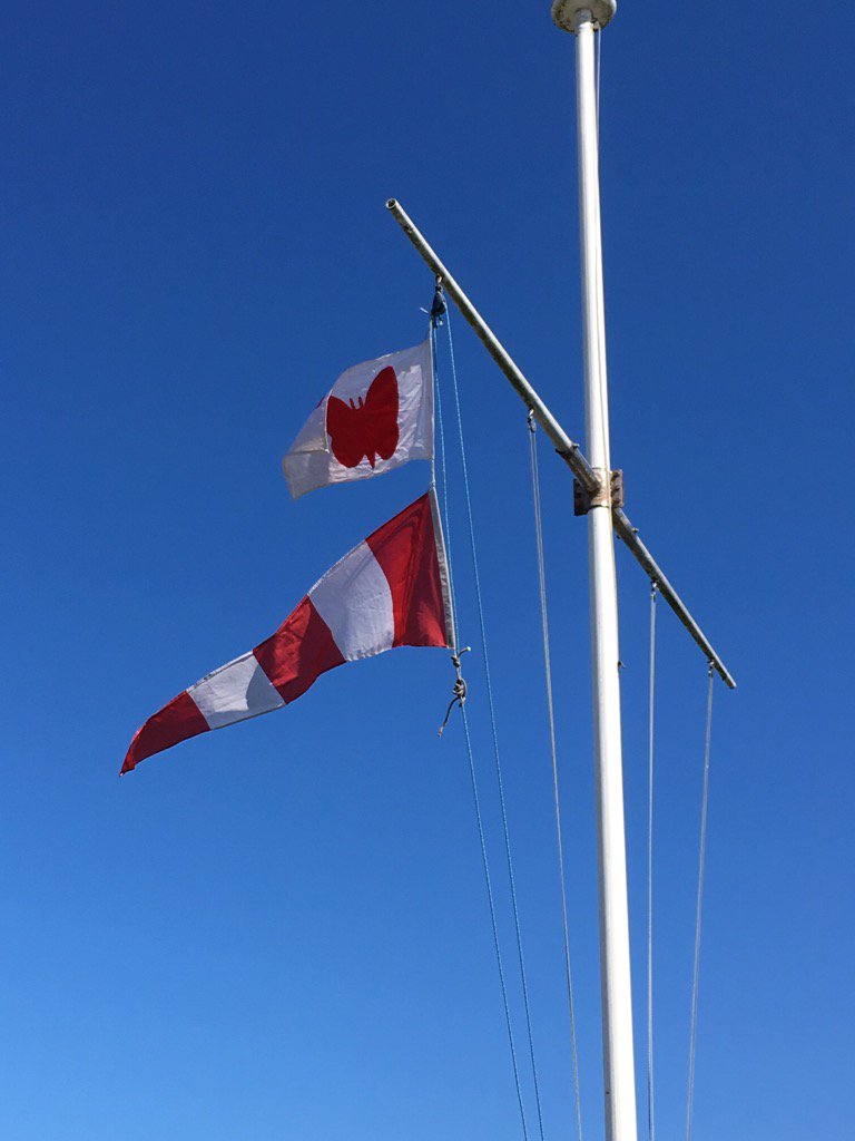 Peu de vent pour le moment. Aperçu à terre pour les <a href="/BritMoth_Series/">Brittany Moth Series</a> <a href="/ENVSN56/">Ecole Nationale de Voile et des Sports Nautiques</a> @SEAir_gravity