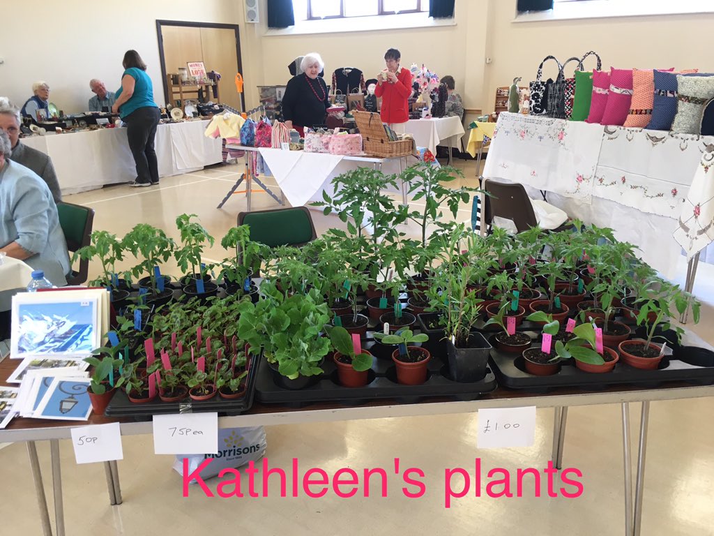 Kathleen plants at Headcorn Farmers Market
