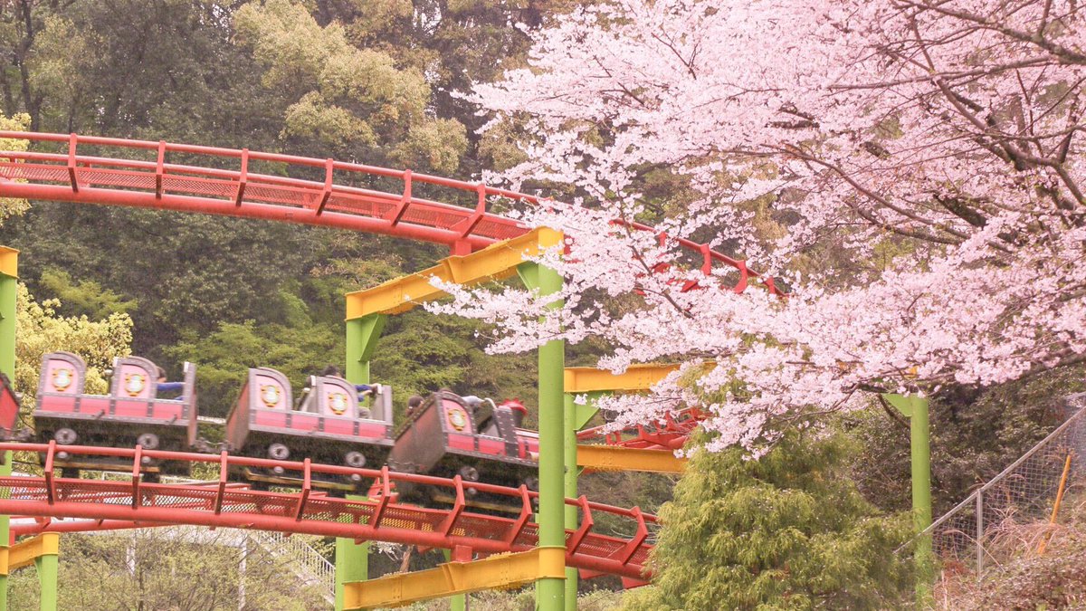 だざいふ遊園地 公式 Twitterissa だざいふ遊園地の桜は今が見頃 この季節のトレインコースターは とくにおすすめ お花見コースターはいかがでしょう だざいふ遊園地 だざいふえん 遊園地 福岡 太宰府 Dazaifu 다자이후 桜 花見 ジェットコースター だざいふ遊園地 公式 Twitterissa だざいふ遊園地の桜は今が見頃 この季節のトレインコースターは とくにおすすめ お花見コースターはいかがでしょう だざいふ遊園地 だざいふえん 遊園地 福岡 太宰府 Dazaifu 다자이후 桜 花見 ジェットコースター