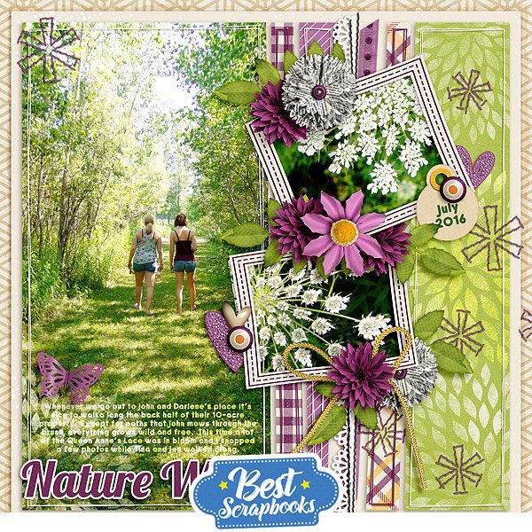 Best Scrapbooks tweet media