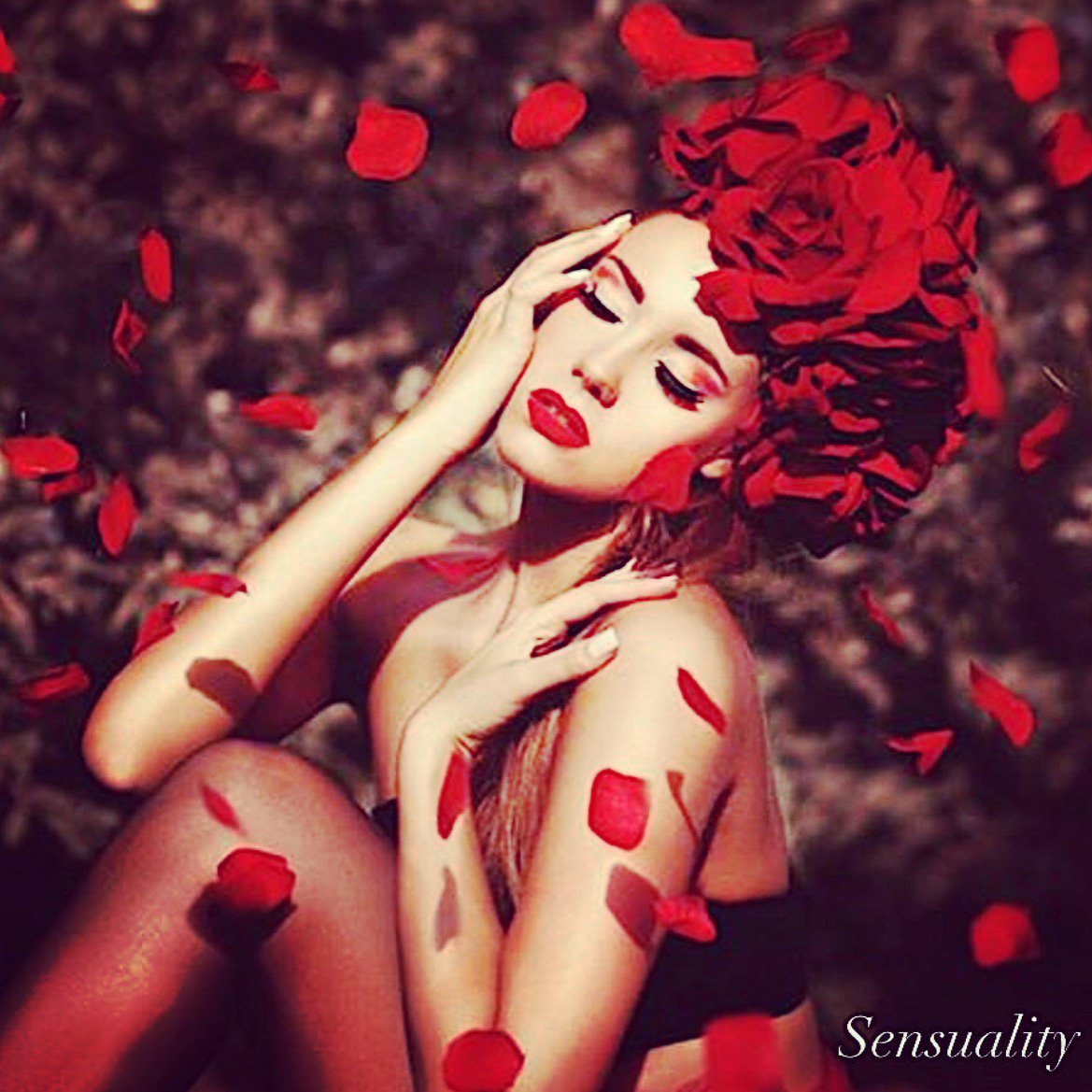 Alchemy Luxury tweet media