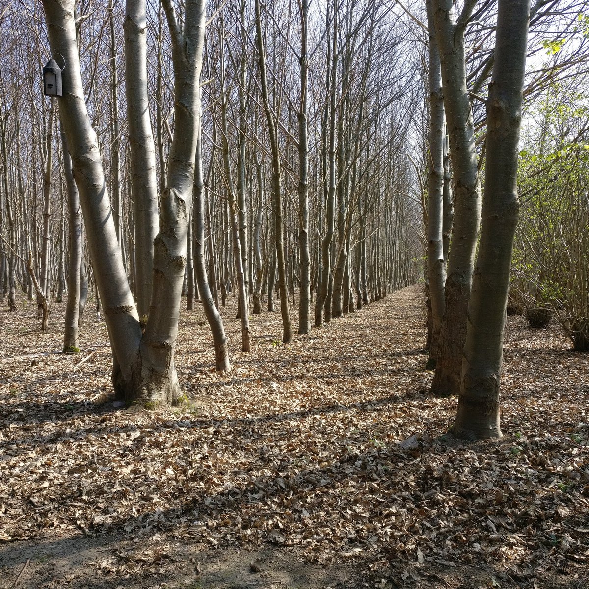 terry 🖤 tweet media