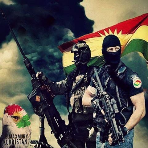 اسود العراق