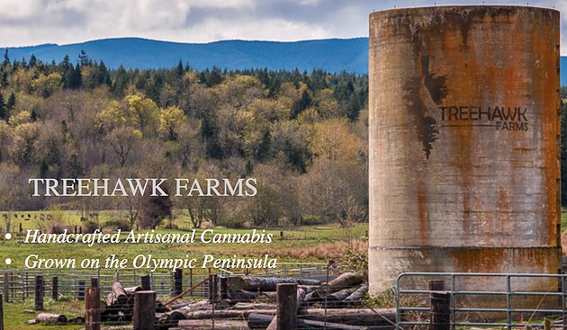 2020North's tweet image. @TreeHawkFarms produces small-batch, artisanal strains. Everything is hand-watered and hand-trimmed. 2020s.us/treehawk #TreeHawk