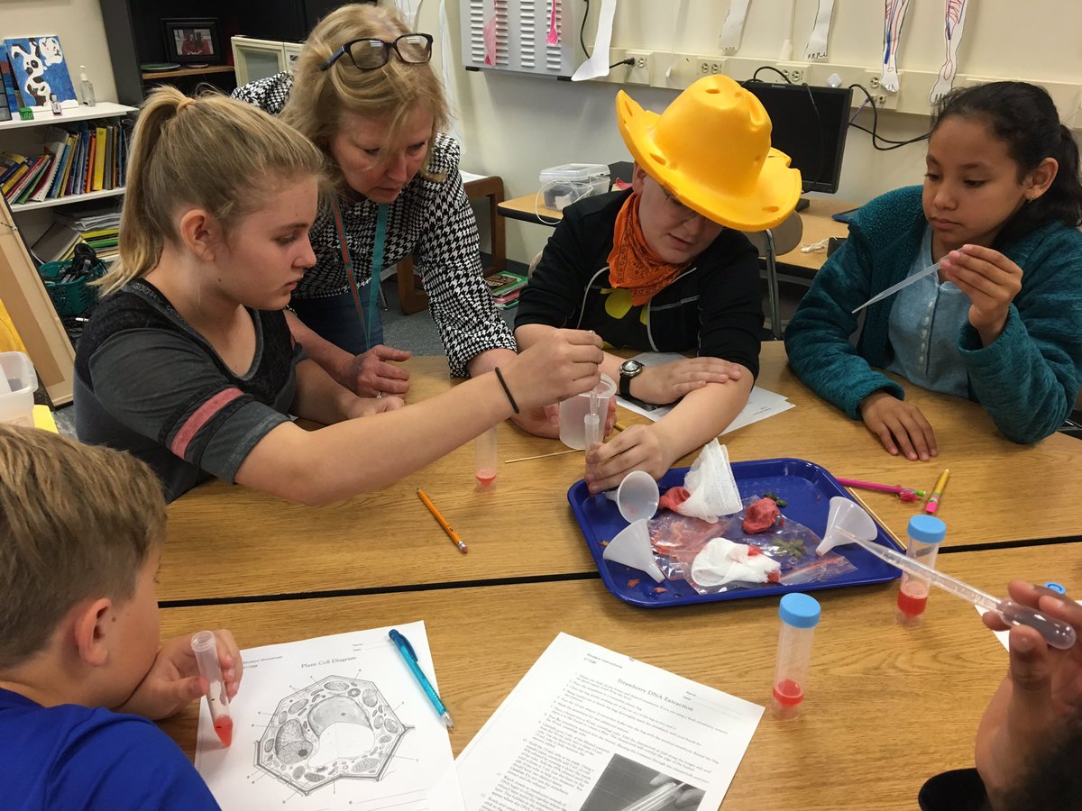 AprilSThomas's tweet photo. Great day in Mrs.Noble's 5th grade class @WestLakeElem yesterday! Extracting DNA from Strawberries! #scienceisfun #cellstudy https://t.co/puBWi8kisR