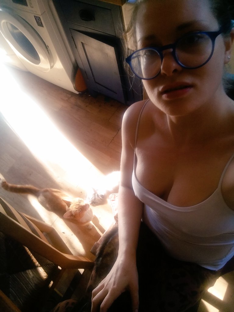 ms_pussy_willow's tweet photo. Reverting to my natural state, covered in pussy #catpuddle https://t.co/FJd4s55IVP