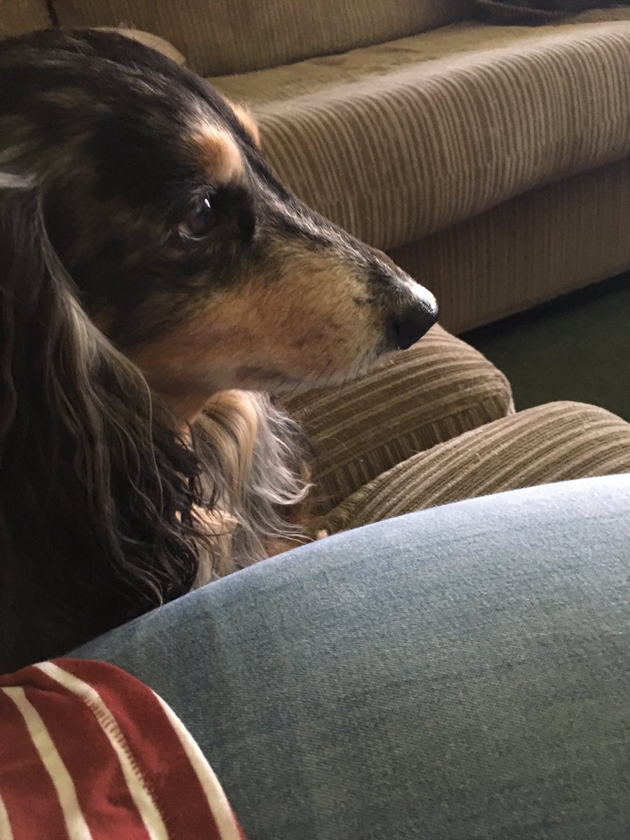 JessKlett's tweet photo. Beautiful wiener https://t.co/OmtvVWRZ5m
