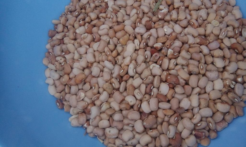 Amamayoyo's tweet photo. Me(scooping out beans from container):This stuff is kinda warm
Roommate:That's 'cos of d SDA of d weevils
Me:All dis stuff yet #doctordown https://t.co/JNUhkL5SRJ