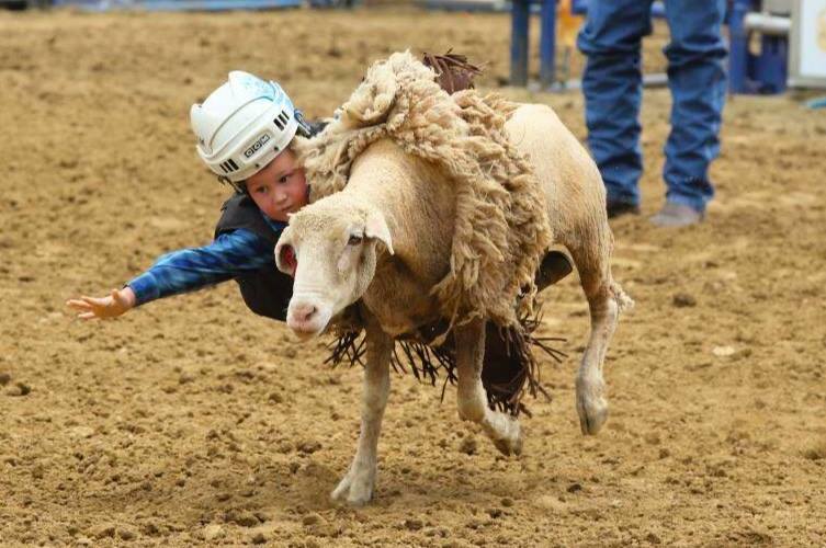 Discounts available for a limited time. Save $3 per ticket. Get 'em now at GoldCountryProRodeo.com with the code rodeo2017