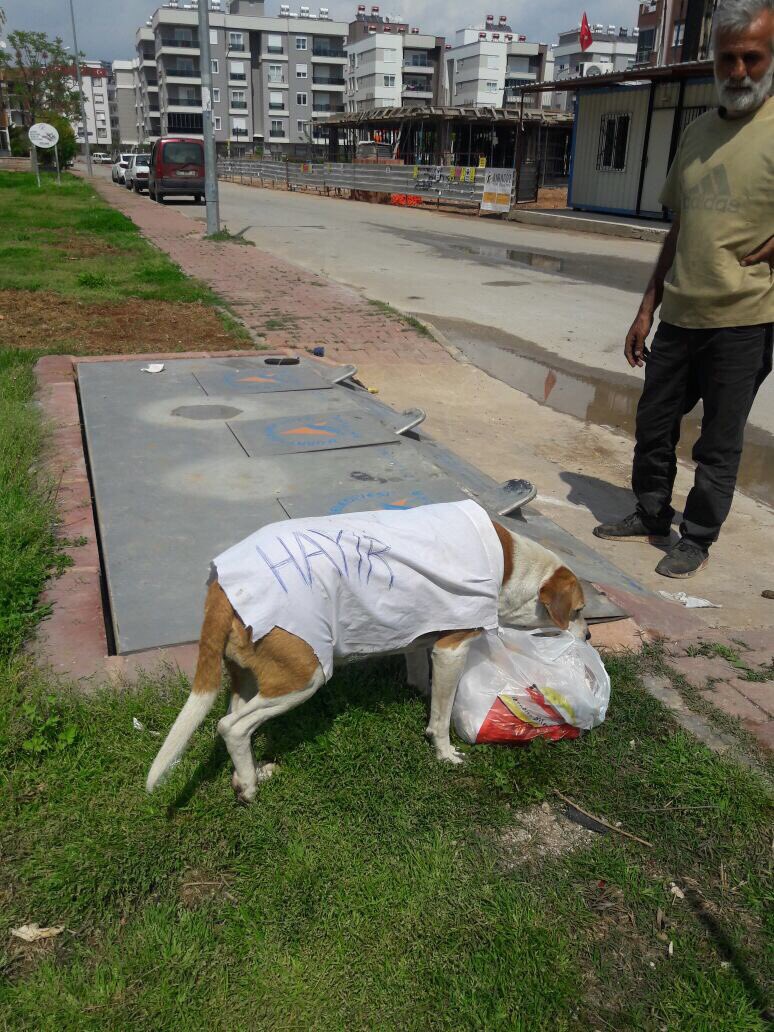 Yer:Kızıltoprak Mh.
Zihniyet bu işte.Siyasete, demokrasiye, milli iradeye bakış açıları bu kadar.
Yazıklar olsun‼
<a href="/rizasumer/">Av.Rıza SÜMER</a> <a href="/hasanbzdmr/">Hasan Bozdemir</a>