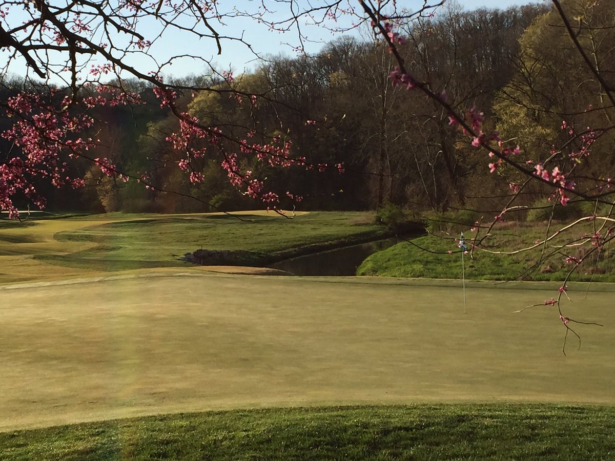 Richbecker10's tweet photo. Welcome back spring. Beautiful weekend for golf. @BillatStAlbans @StAlbansGolf https://t.co/Mkyf1tHBrI