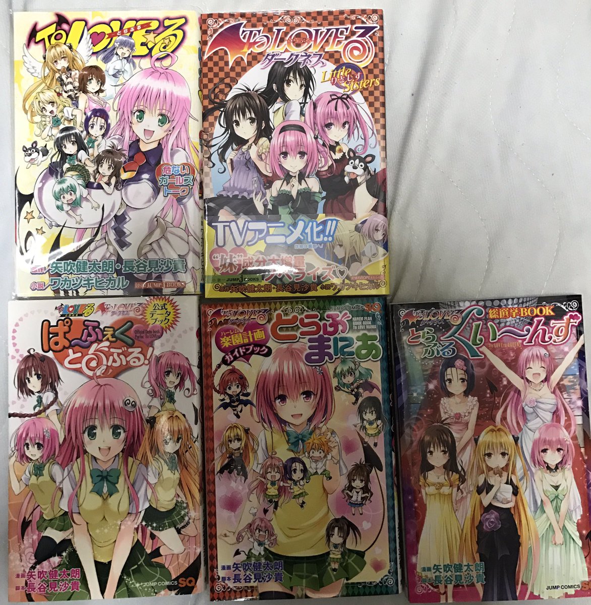 DarknessMomo's tweet photo. ついに、ToLOVEるダークネス18巻(最終巻)が発売したので並べて見ました。
連載して10年ちょっと本当にお疲れ様でした。

しかし、これからアニバーサリーブックも出ますしToLOVEるはまだまだ続いていくので皆さんで応援して行きましょう！🎉🎉🎉

#ToLOVEる https://t.co/49Wy3SaAIw