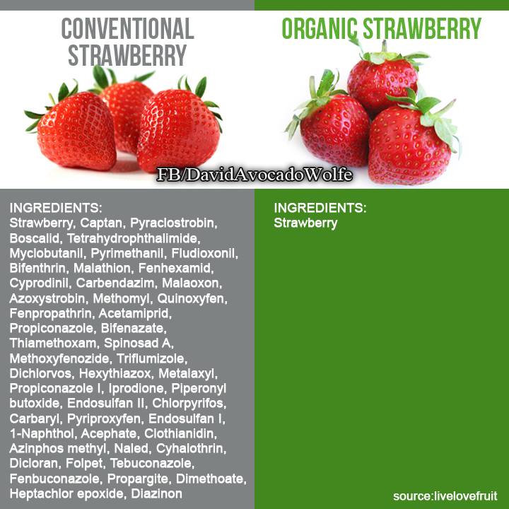 RT @DavidWolfe #ConventionalStrawberry vs. #OrganicStrawberry