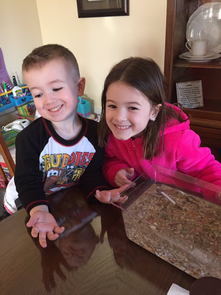 3plearns's tweet photo. Our 3P class guppies are in vacation at casa Pellegrino for the week! #lotsoffish #keepingthemgoing https://t.co/jLQXrZFwz9