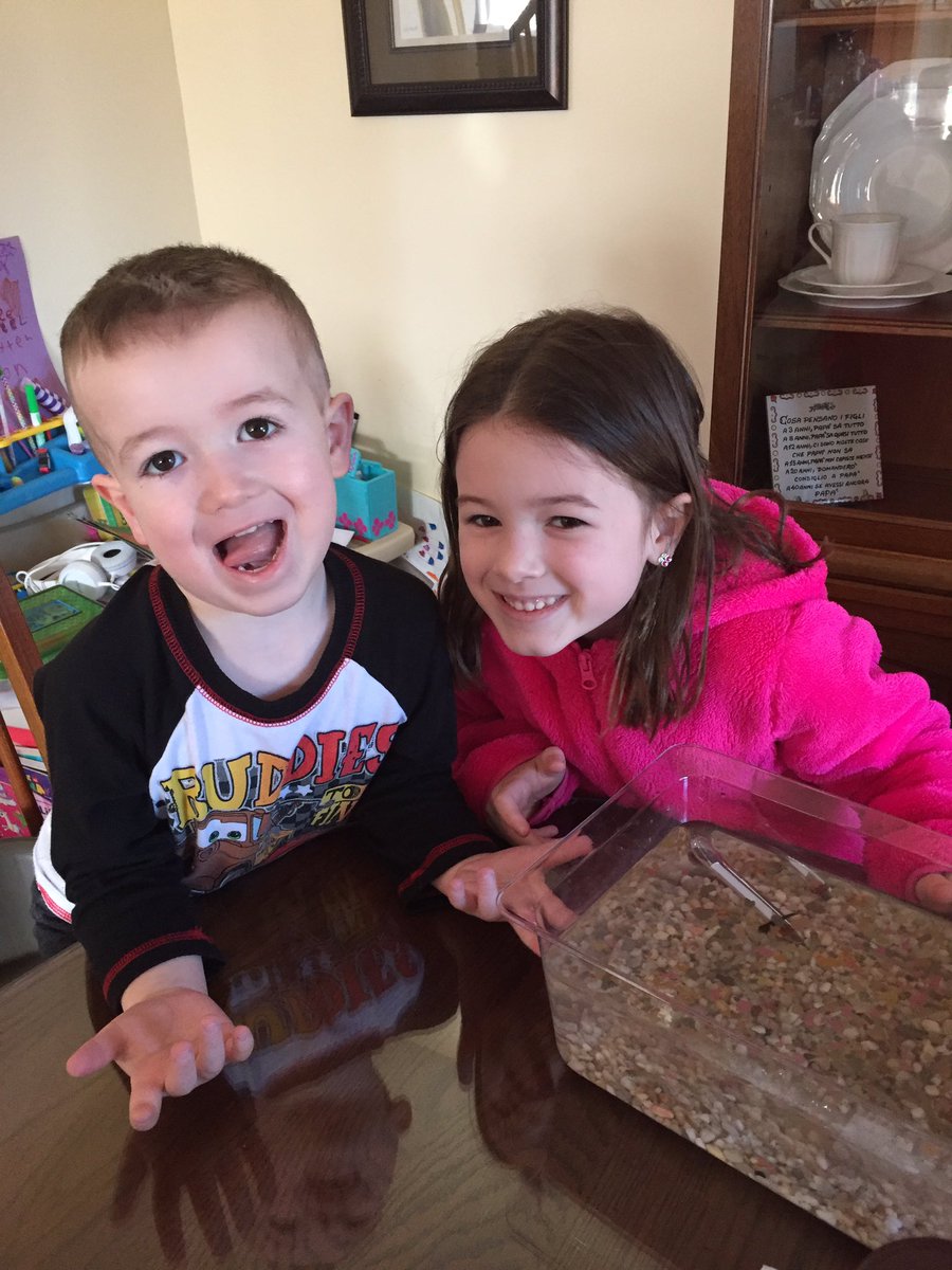 3plearns's tweet photo. Our 3P class guppies are in vacation at casa Pellegrino for the week! #lotsoffish #keepingthemgoing https://t.co/jLQXrZFwz9