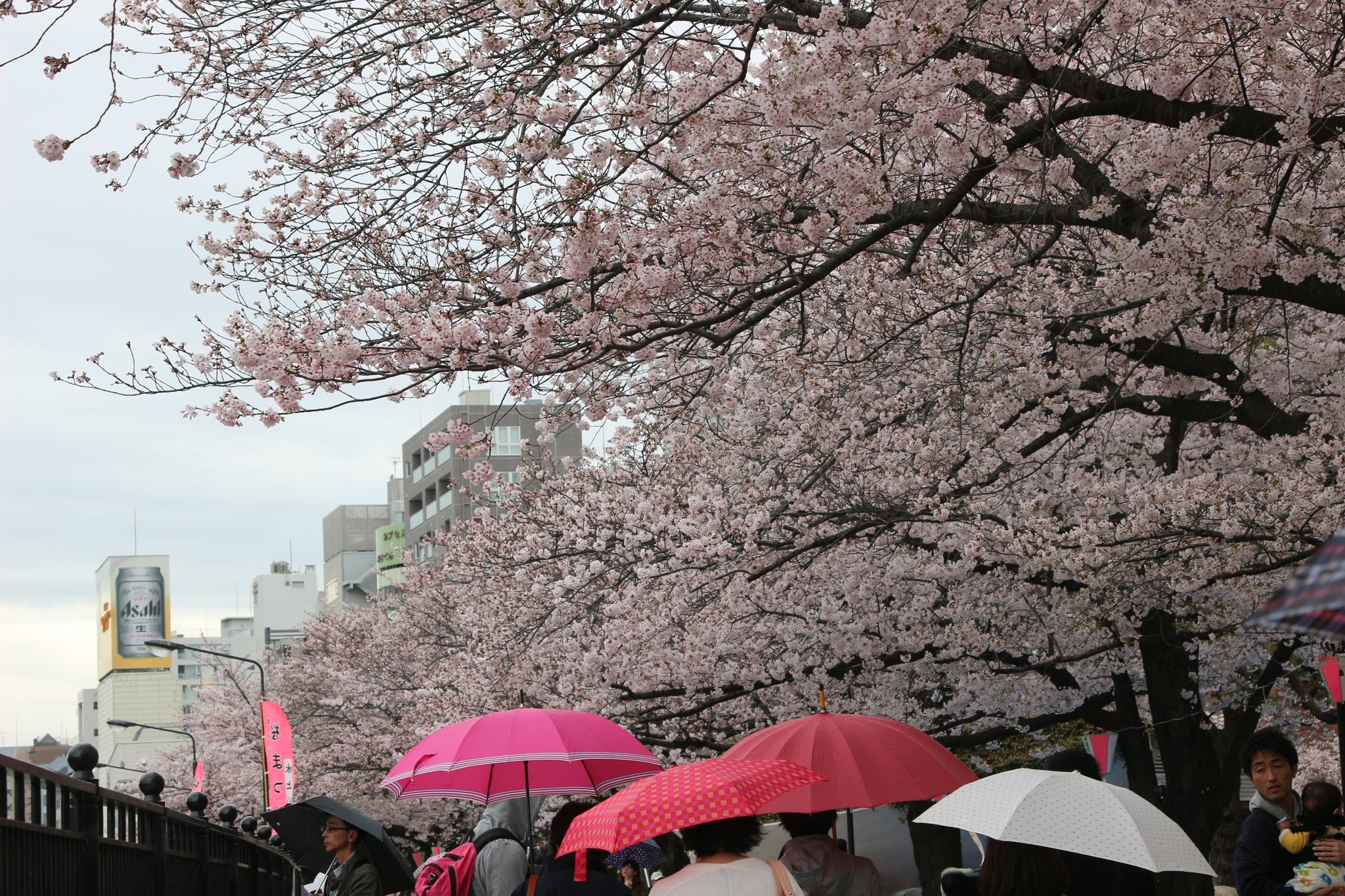 山谷堀公園 Twitter Search Twitter