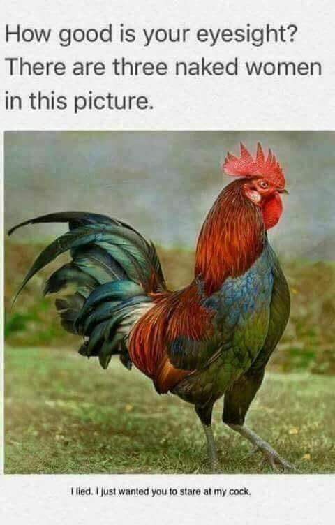 Well what are you looking for 😂 <a href="/Lmao/">Funny Tweets™</a> <a href="/funnyorfact/">Funny Or Fact</a> <a href="/TheFunnyWorId/">Puns</a>  #goodeyesight #funny #cock #humorme